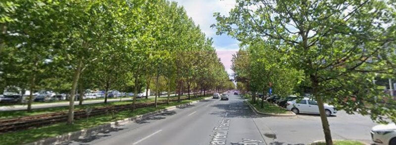 Vanzare spatiu comercial in zona Theodor Pallady inchiriat, metrou